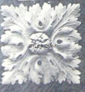 ROSETTE_0528